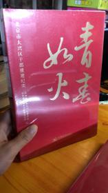 青春如火：北京市大兴区干部援建纪实