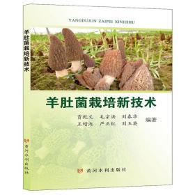 2020年羊肚菌種植技術(shù)書(shū)籍 羊肚菌栽培新技術(shù)