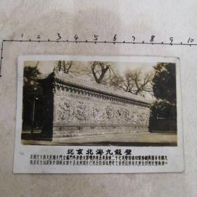 北京北海九龙壁照