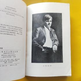 马丁.伊登（网格本）  外国文学名著丛书