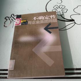 不确定性与企业集团问题——产业组织与管理丛书