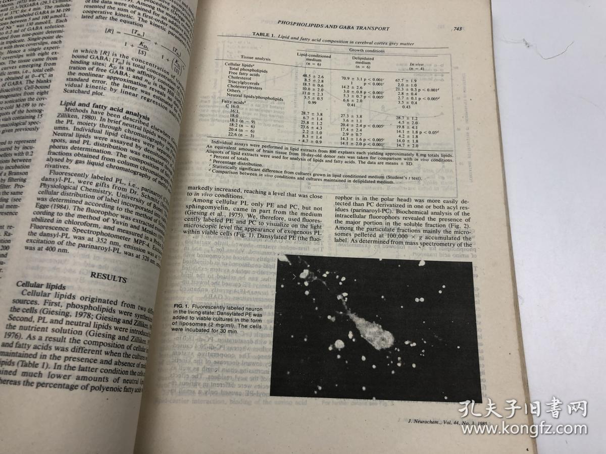 journal of neurochemistry 神经化学杂志 vol 44