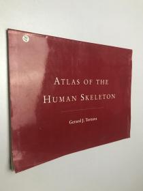 Atlas Of The Human Skeleton