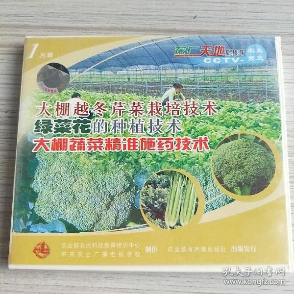 大鹏越冬芹菜栽培技术绿菜花的种植技术大鹏蔬菜精准施药技术（1片装VCD）