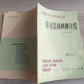 常见造林树种介绍
