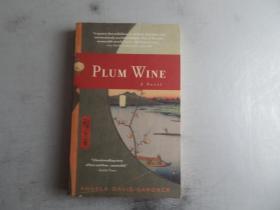 Plum Wine: A Novel by Angela Davis-Gardner