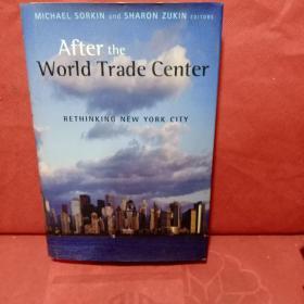 After The World Trade Center: Rethinking New York City