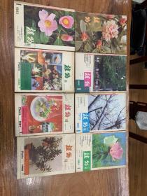 植物杂志（1981-1988）1981年存四册，1982-1988七年四十二册完整，共46册合售