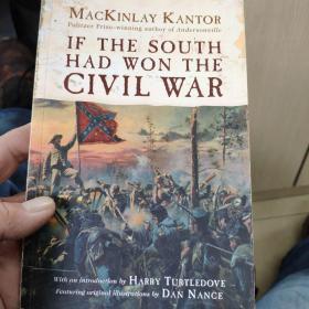 IftheSouthHadWontheCivilWar