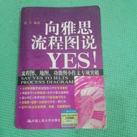 向雅思流程图说YES