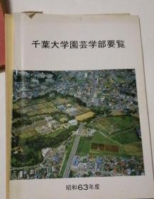 园芸学研究科 教授要领，千叶大学园芸学部要览 2本合售