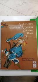 Audubons Birds of America Coloring Book-奥杜邦美国鸟类画册