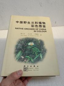中国野生兰科植物彩色图鉴  正版 精装本