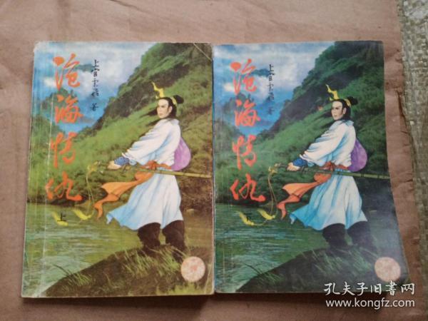 武侠：沧海情仇（上下）