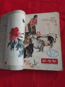 新观察1956年第13一24