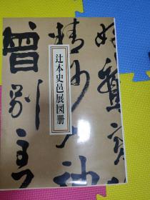 辻本史邑展图册 : 生诞100年记念 看图，图片均为实拍图