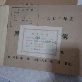 望城公社生家埠大队1970年1-12月帐本（总帐明细帐记帐3册全