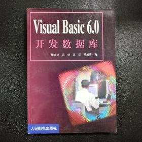 Visual Basic 6.0开发数据库