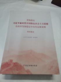 贯彻落实习近平新时代中国特色社会主义思想在改革发展稳定中攻坚克难案例（防范化解重大风险+生态文明建设+党的建设）（3册合售）