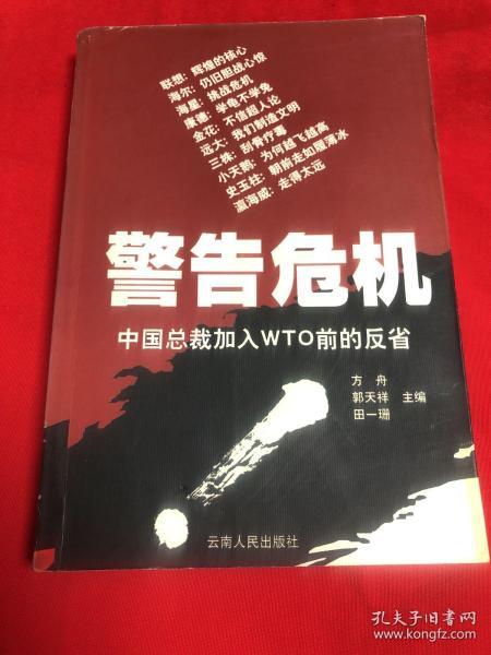 警告危机:中国总裁加入WTO前的反省