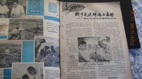 1963年第10期《科学大众》期刊杂志