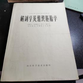 解剖学及组织胚胎学