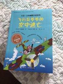 飞行员爷爷的空中逃亡/大卫·少年幽默小说系列