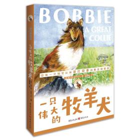 B百年传世动物文学书系·第一辑：一只伟大的牧羊犬H2-16-2-1