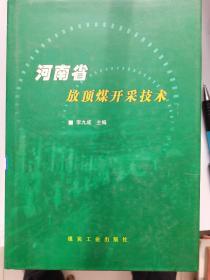 河南省放顶煤开采技术