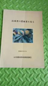 山东省农林业见闻  1983年日本考察山东省农林情况汇报，珍贵资料