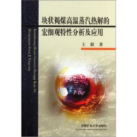 块状褐煤高温蒸汽热解的宏细观特性分析及应用