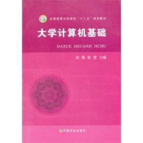 大学计算机基础 翁梅 张慧 中国农业出版社 9787109205130