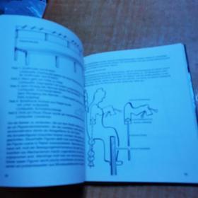 SOLLINGER-LETZBOR Spiele una Theaterstucke