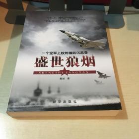 盛世狼烟：一个空军上校的国防沉思录