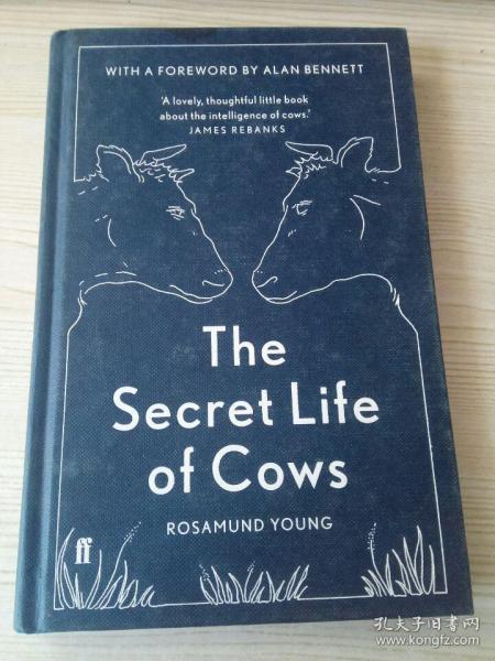 The Secret Life Of Cows