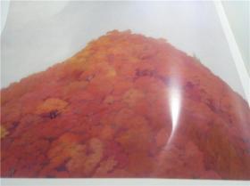 东山魁夷 現代日本画全集12  1980年一版一印  大八开硬精装  原版日本日文大型美术画册 图片实拍