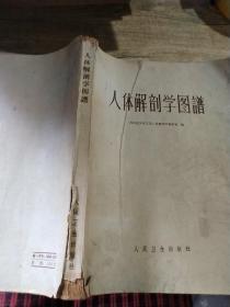 人体解剖学图谱。