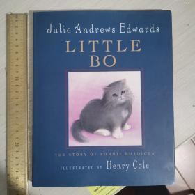 Little Bo the story of Bonnie boadicea