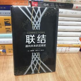 联结：通向未来的文明史