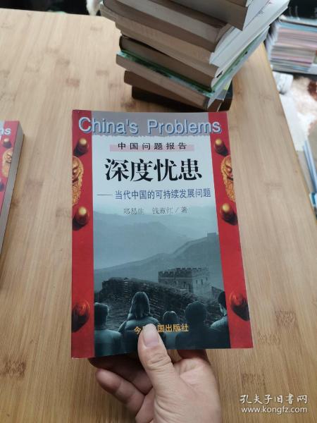 深度忧患:当代中国的可持续发展问题