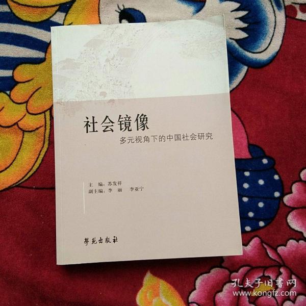 社会镜像——多元视角下的中国社会研究