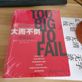 大而不倒：2010年全球政要和首席执行官争相阅读的金融危机启示录