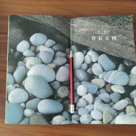 探索手册：岩石与矿物