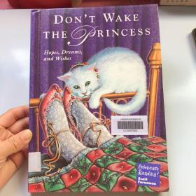 Don't Wake the Princess
