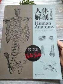 人体解剖与绘画应用（简读本）