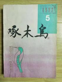 啄木鸟（1992年5月）