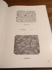 【国外工业科技文献】 珍贵资料！ 1980年代美国铸造师学会编  金相照片多多：《球墨铸铁金相图谱》 1988年一版一印 16开精装 印数2000册