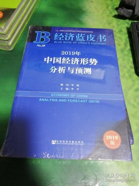 经济蓝皮书：2019年中国经济形势分析与预测