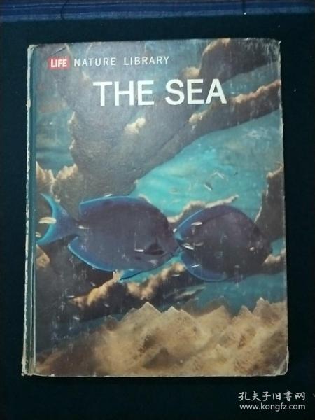 LIFE. NATURE  LIBRARY (THE SEA )