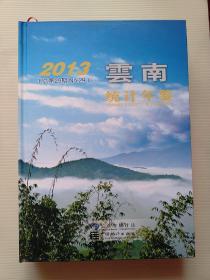 云南统计年鉴. 2013 : 汉英对照